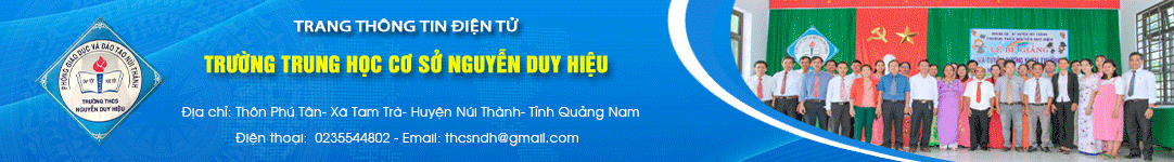 Trường THCS Nguyễn Duy Hiệu - Núi Thành - Quảng Nam